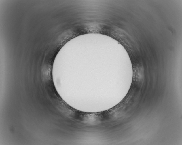 X0000110670717200907101106