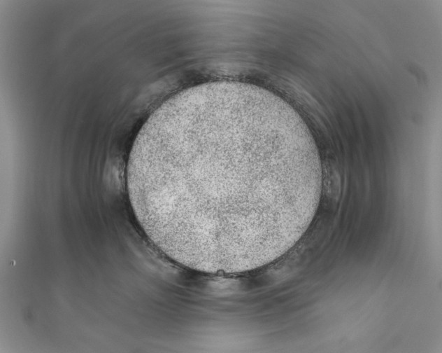 X0000110670718200907101106