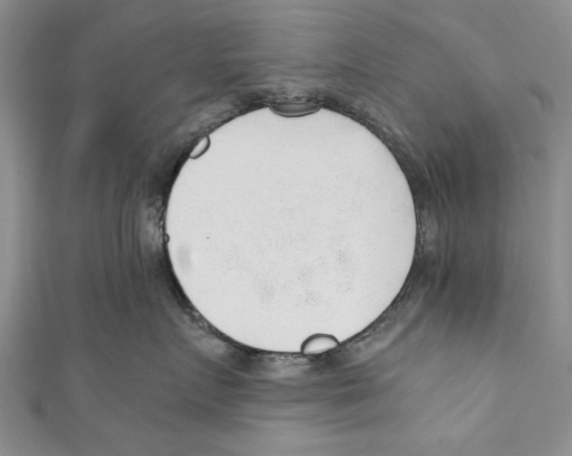 X0000110670719200907101106