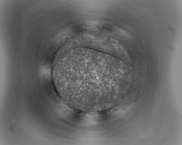 X0000110670720200907101106