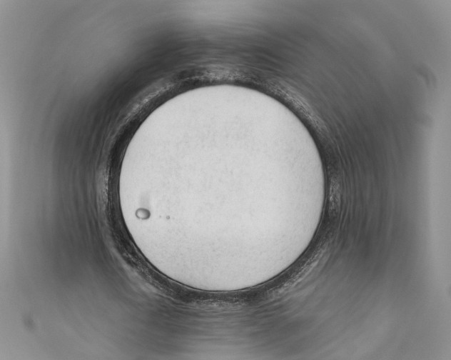 X0000110670722200907101105
