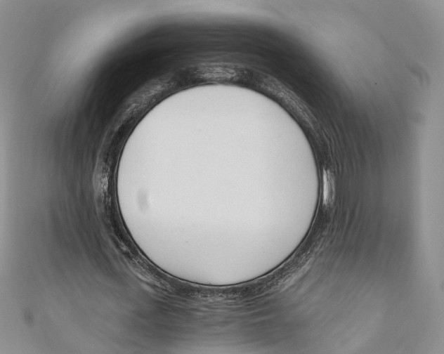X0000110670723200907101106