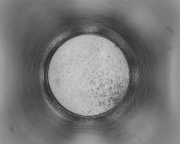 X0000110670726200907101106