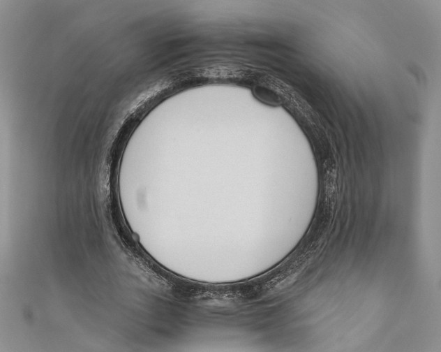 X0000110670727200907101106
