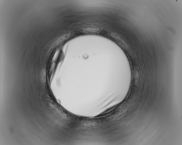 X0000110670729200907101106
