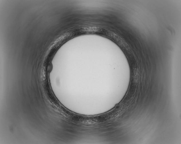X0000110670731200907101106