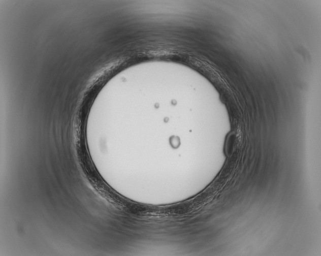 X0000110670732200907101106