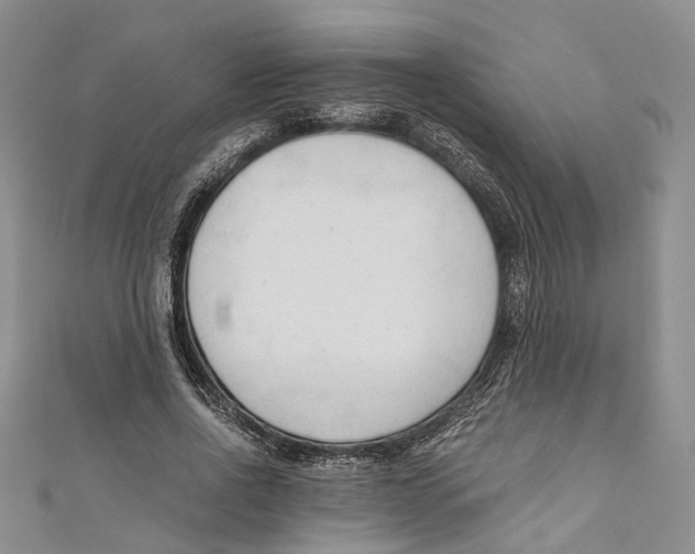 X0000110670734200907101106