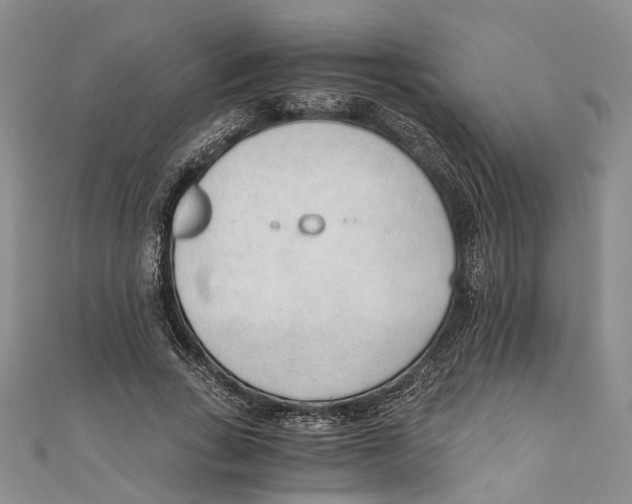X0000110670735200907101106