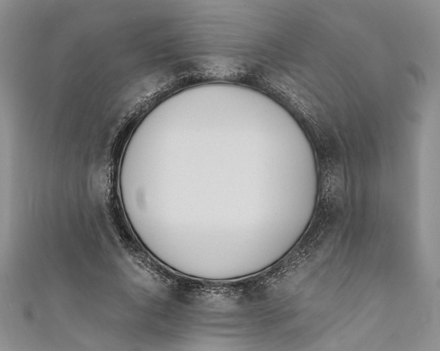 X0000110670736200907101106