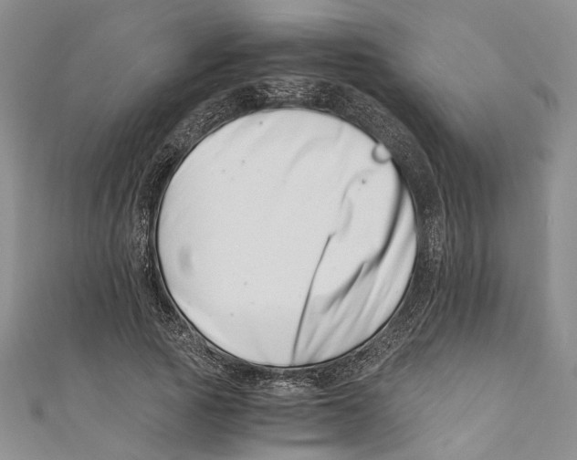 X0000110670737200907101106