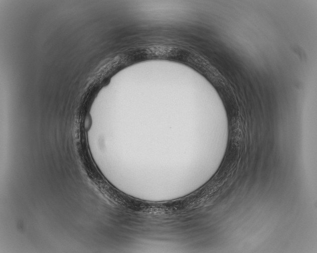 X0000110670738200907101106