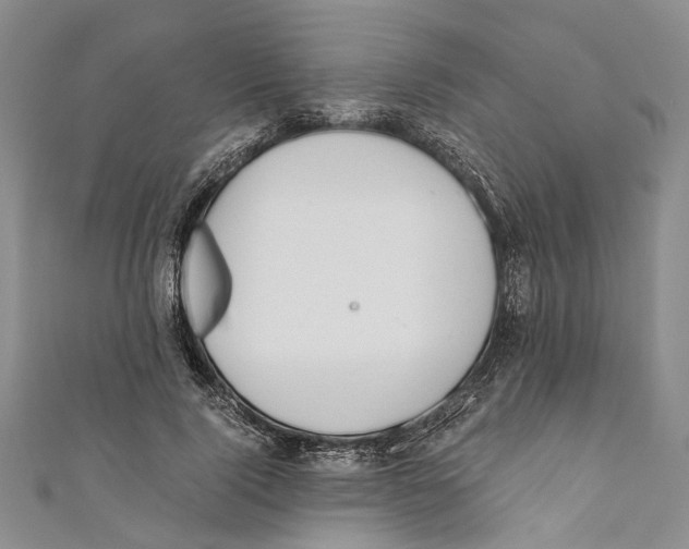 X0000110670740200907101106
