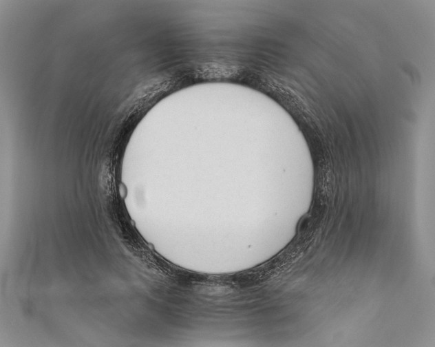 X0000110670743200907101106