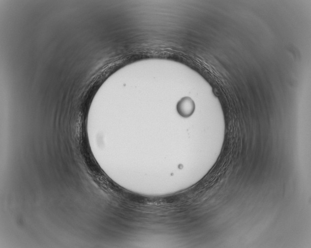 X0000110670744200907101106