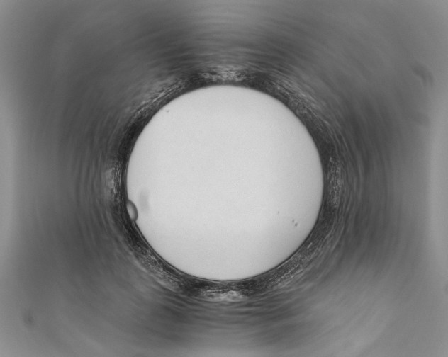 X0000110670747200907101106