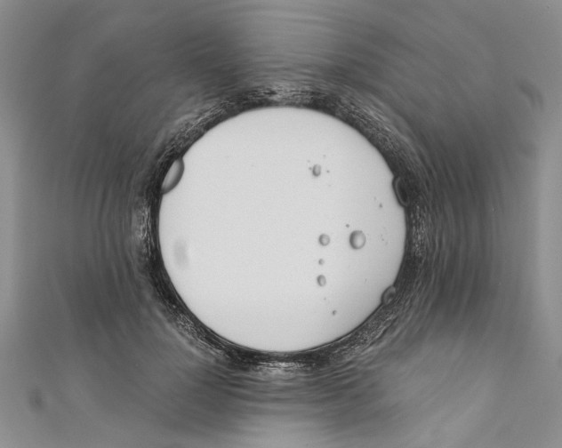 X0000110670748200907101106