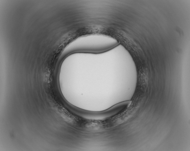 X0000110670750200907101106