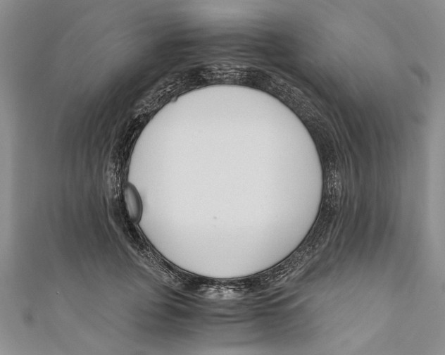 X0000110670751200907101106
