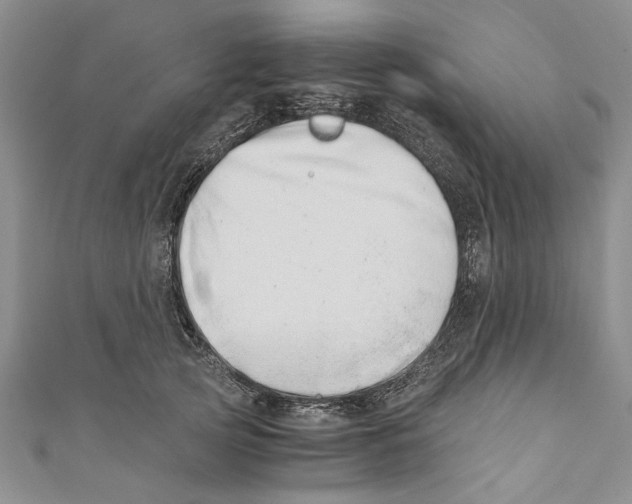 X0000110670753200907101106