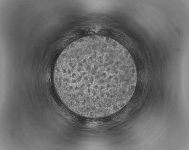 X0000110670754200907101106