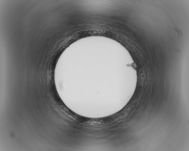X0000110670756200907101106
