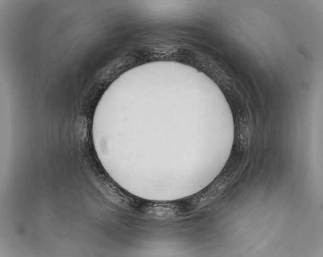 X0000110670758200907101106