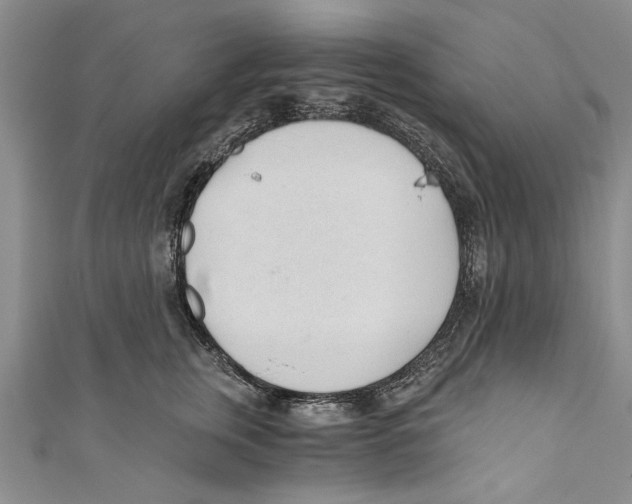 X0000110670759200907101106