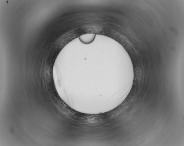 X0000110670761200907101106