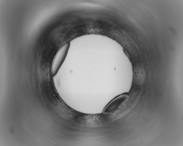 X0000110670762200907101106