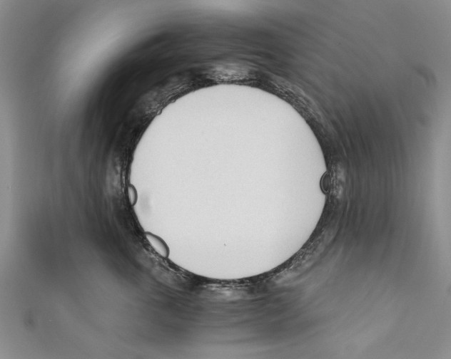 X0000110670763200907101106