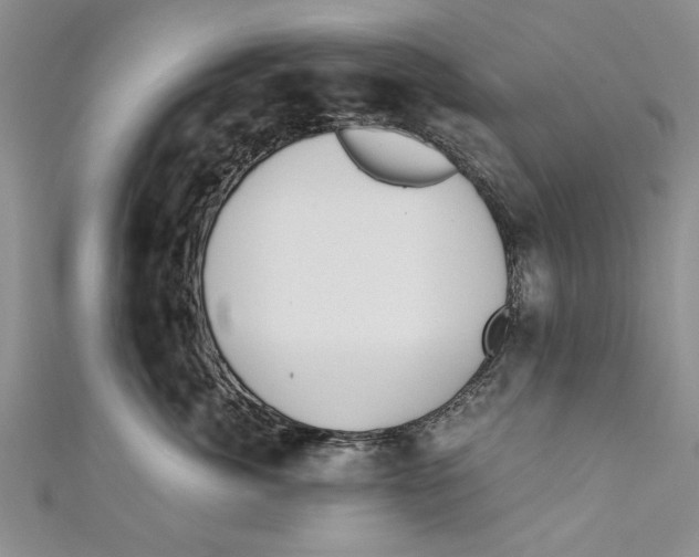 X0000110670764200907101106