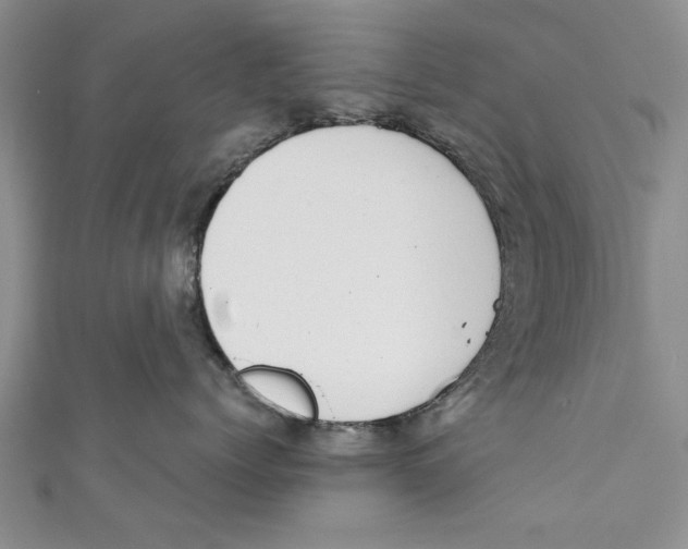 X0000110670768200907101106