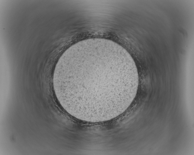 X0000110670769200907101105