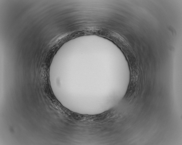 X0000110670773200907101105