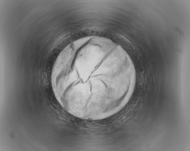 X0000110670774200907101105