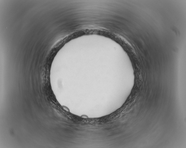 X0000110670775200907101105