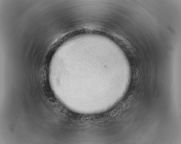 X0000110670776200907101105