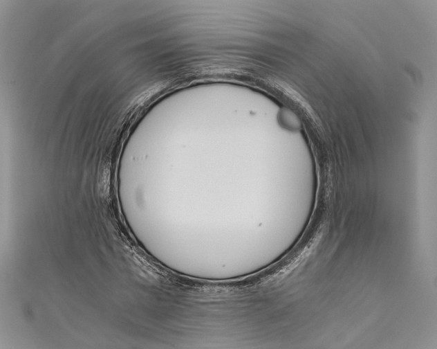 X0000110670777200907101105