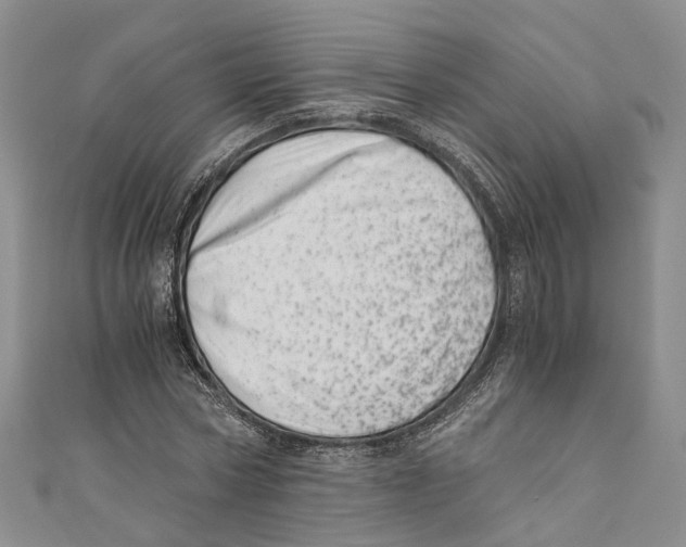 X0000110670778200907101105