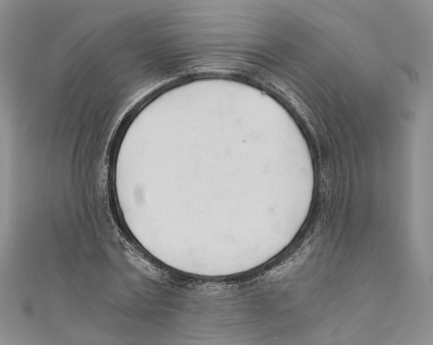 X0000110670779200907101105