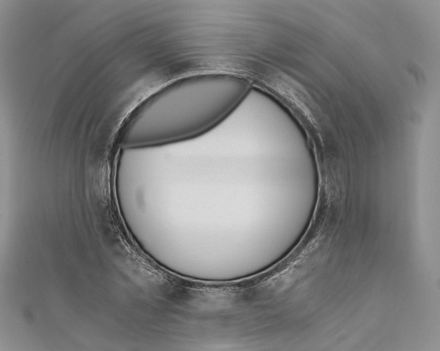 X0000110670781200907101105
