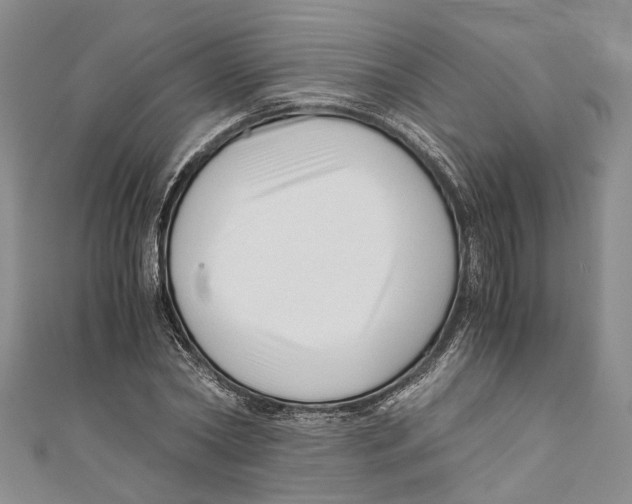 X0000110670782200907101105
