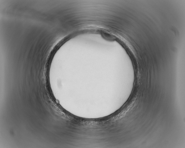 X0000110670783200907101105