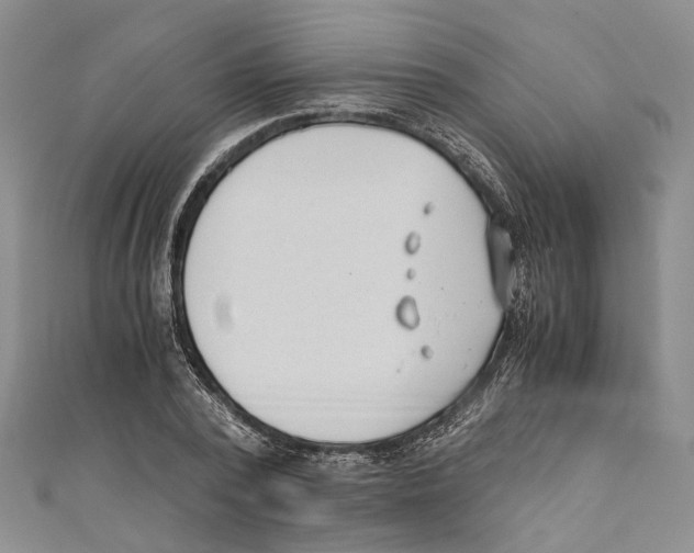 X0000110670784200907101105