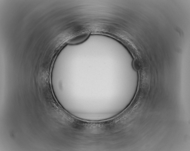 X0000110670785200907101105