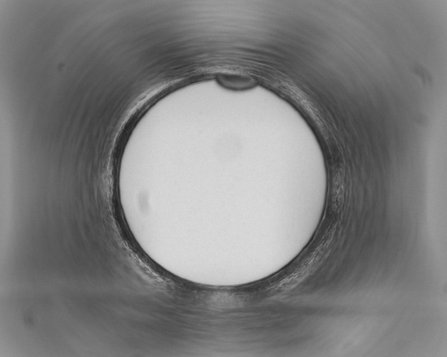 X0000110670787200907101105
