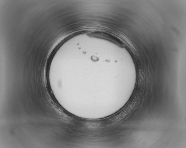 X0000110670788200907101105