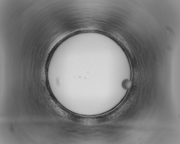 X0000110670789200907101105