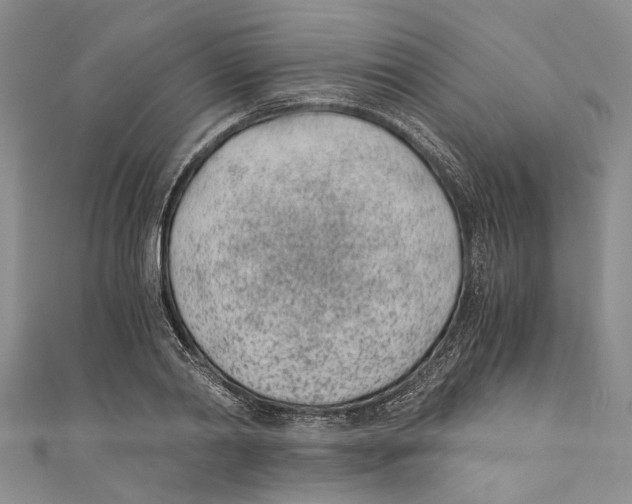 X0000110670790200907101105